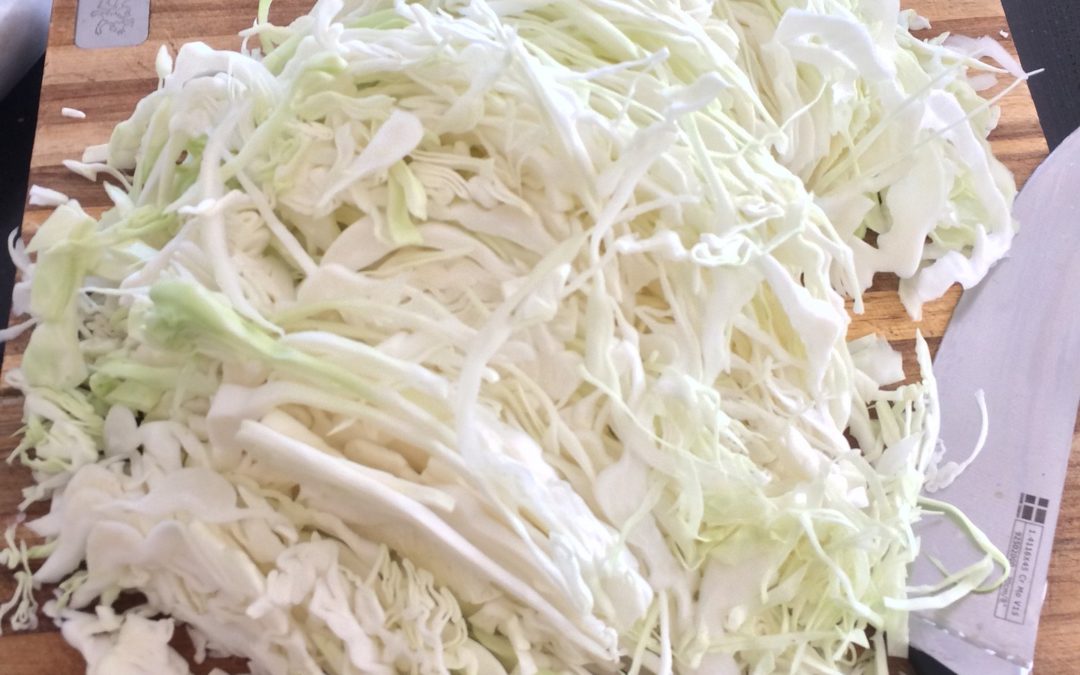 Wir haben selber fermentiert – Klasse Workshop am 04.02.23