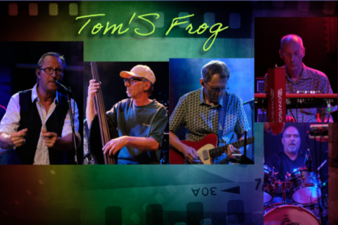 Toms Frog