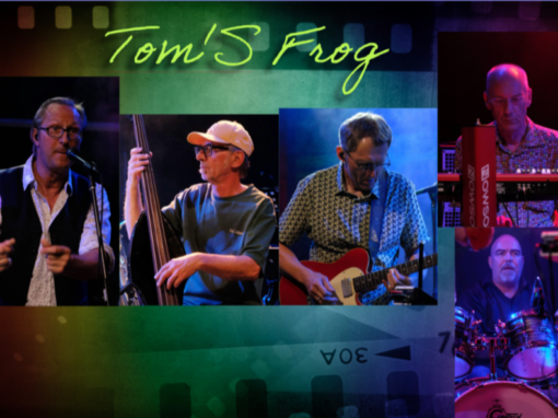 Toms Frog